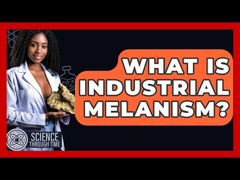 What Is Industrial Melanism? - Science Through Time