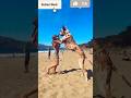 Danger Top 3 Dog Breed In The World Shorts Ytshorts Shortvideo Dogbreed Dogfight Lion