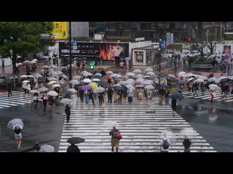 Japanese court rules human voice is protected in TikTok AI case