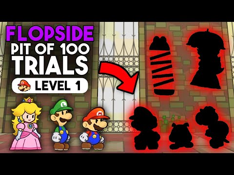 Beating Super Paper Mario's Hardest Dungeon At Level One