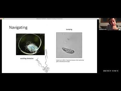 Romain Brette, Inserm - Integrative modeling of Paramecium, a “swimming neuron” (3/31/22)