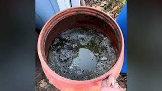 Compost, JLF, and Bokashi