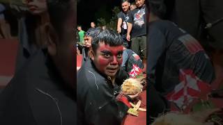 Download lagu Ndang Tambanono Selak Kepeseng Aku😭🗿🤣 #shorts mp3