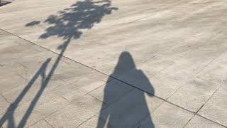 Tribute to Shadow