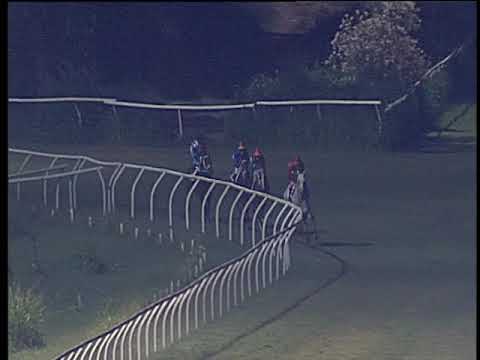 Galoppo 13/07/2019 - 8ª corsa