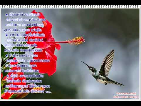 คลิกเพื่อดูคลิปวิดีโอ