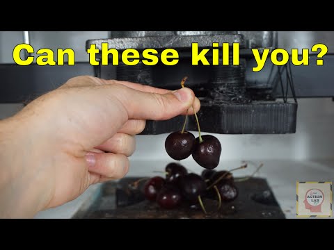Can Eating Two Cherries Kill You? Crushing Cyanide Out of Cherries With a Hydraulic Press