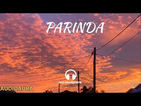 Panther - Parinda ft. Priyanka Meher