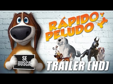 Rápido y peludo