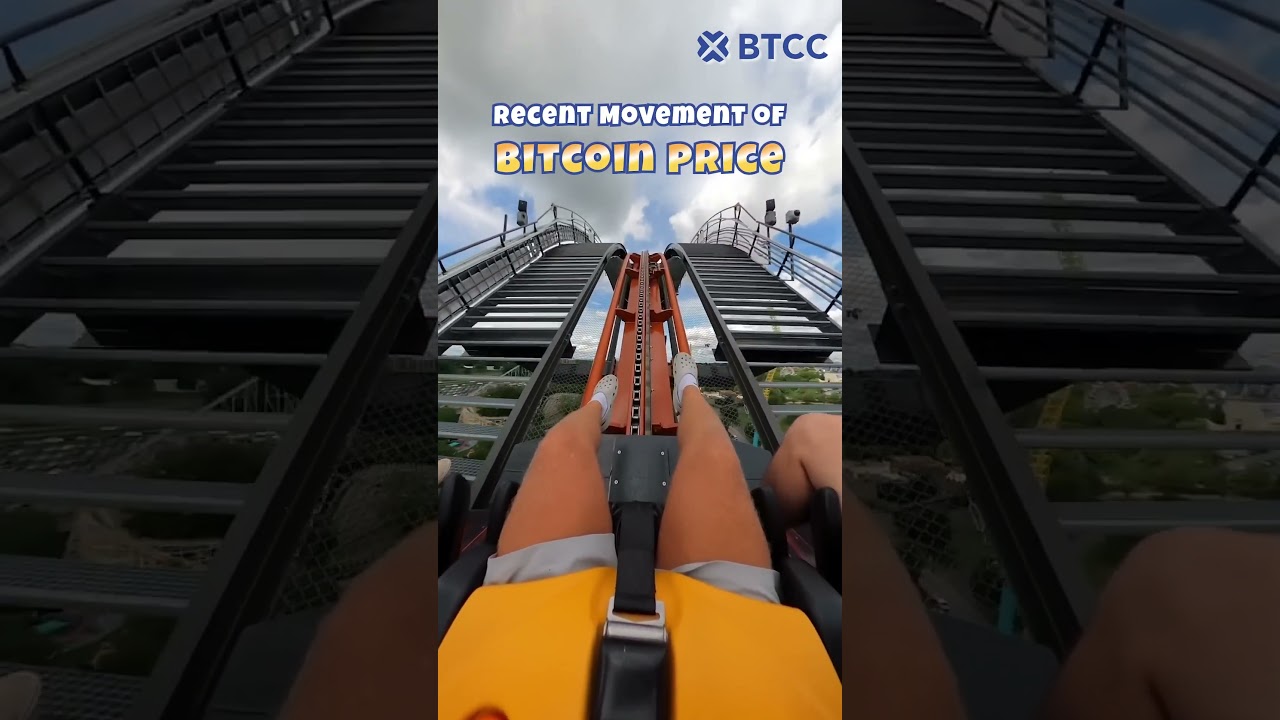 The Bitcoin Price Is A CRAZY Roller Coaster Ride