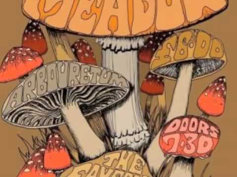 Dead Meadow :: Me and the Devil Blues