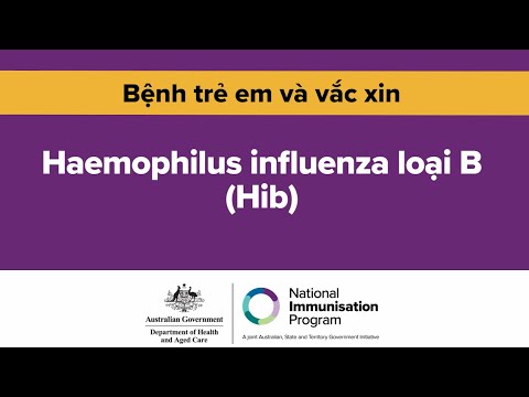 Bệnh Hib là gì? Vì sao chủng ngừa cho tuổi thơ lại quan trọng