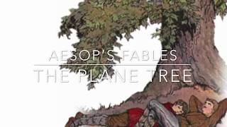 Aesop's Fables The Plane Tree Narrated by Jon Wilkins
