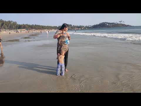 Goa palolem beach2020 p-2