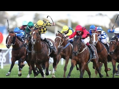 GOLDEN ROSE-13SEP ROSEHILL