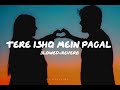 Tere Ishq Mein Pagal Ho Gaya Lofi Vibes Bollywood Slowed Reverb