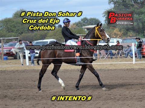 Intento, Don Sohar (02-07-17)