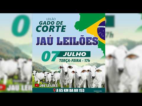 LEILÃO GADO DE CORTE  - JAU LEILÕES  - JAU DO TOCANTINS  -07 / 07 / 2026