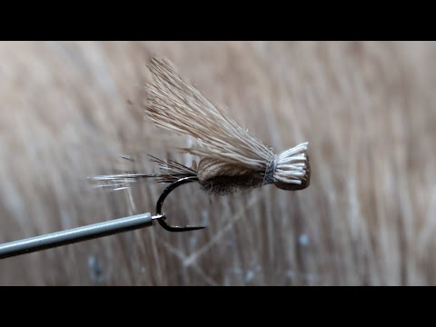 Fly tying-Dry fly with #12 hook