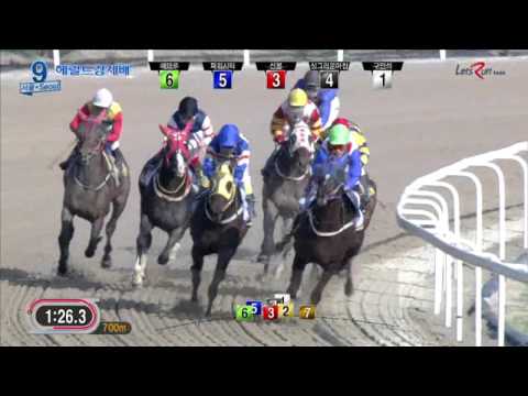 2016 Herald Business Cup -2000m (US$200,000) (Korean Listed)