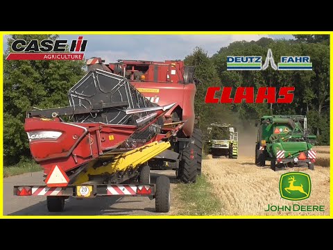 VELKÉ ŽNĚ PŠENICE 2019 | 5 kombajnů v nasazení na jednom poli | ZD UNČOVICE