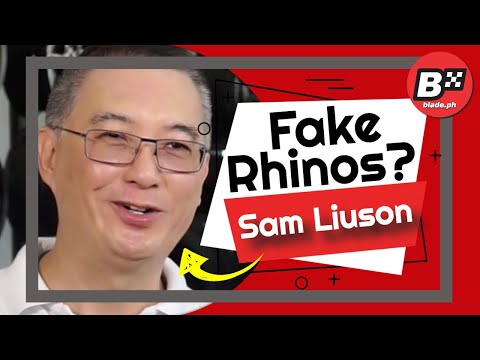 Fake Rhinos? Listen to the \"Head Zookeeper\"