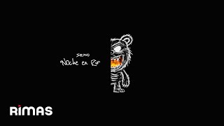 Sech - 4AM - NOCHE EN RIO (Visualizer) | ESA NOCHE TERMINÓ DE DÍA