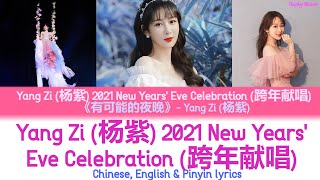 有可能的夜晚 (The Possible Night) - 杨紫 (Yang Zi) Chi/Eng/Pinyin lyrics