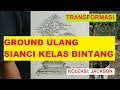21 TRANSFORMASI SIANCI KELAS BINTANG KOLEKSI JACKSON