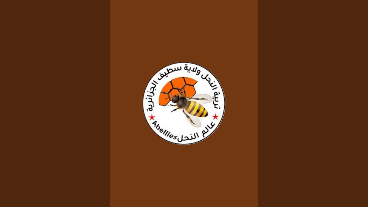 النحل في الصيف معاناة وتدخل المحال واجب للحفاظ على الخلايا