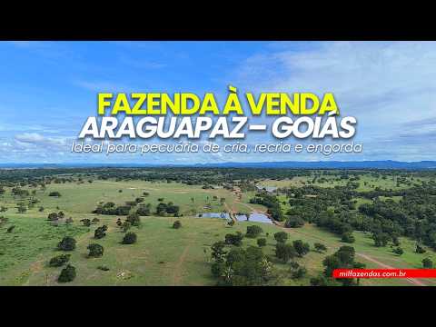 FAZENDA DE 1.929 HECTARES À VENDA EM ARAGUAPAZ – GO | IDEAL PARA PECUÁRIA INTENSIVA #fazendaavenda