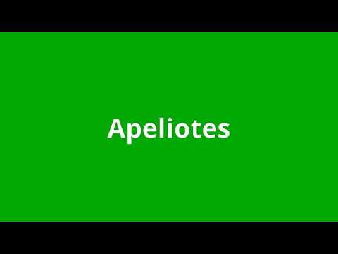 what is the meaning of Apeliotes