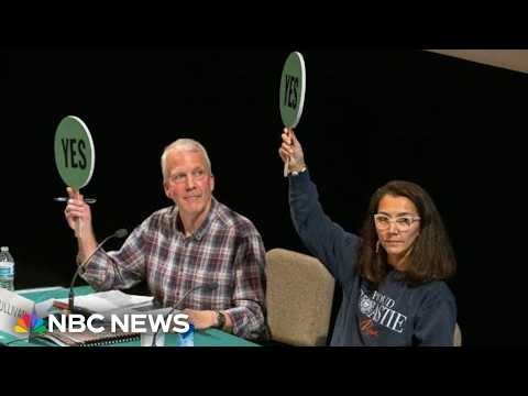 Is Alaska’s 'spoiler candidate' strategy legal?