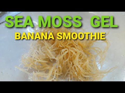 How To Make Sea Moss Gel Banana Smoothie Recipe with Homemade Almond Milk