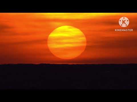 The Wolf The cow The monkey | Zain bikha|