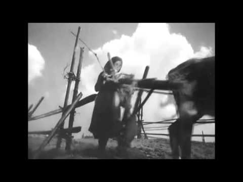 STRYDWOLF -  ZWARTE LAGE VLAKTEN