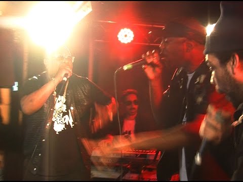 Exclu Vidéo : Les Nèg’Marrons enflamment la Bellevilloise !