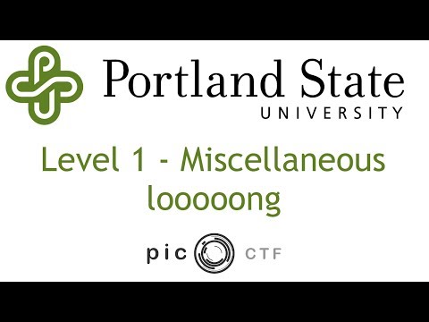 PicoCTF 2017 - looooog Walkthrough