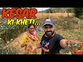 Village Life Vlog Chachi Ka Farm Tour American Kesar Aur Desi Bhune Makki ️