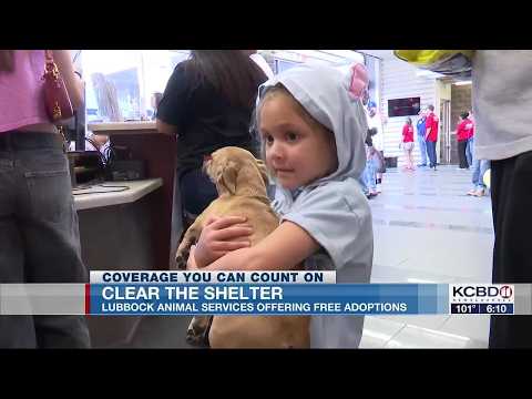 Lubbock Animal Services