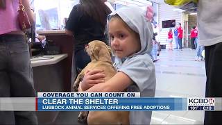 Still time to get a new best friend from Lubbock Animal Services