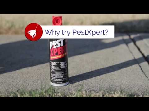  Why You Should Use PestXpert Foaming Insect Killer Spray Video 