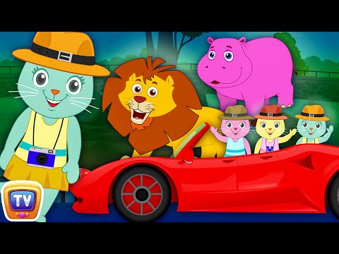 Three Little Kittens Went To The Zoo | Nursery Rhymes by Cutians | ChuChu TV Kids Songs
