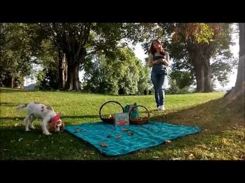 Au Pair Video  Ana María Quintero - Colombia