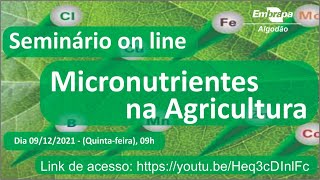 Miniatura do vídeo