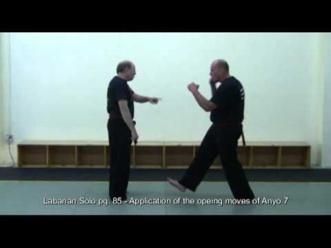 Labanan Solo: The Combat Exercises (Anyo) of Modern Arnis