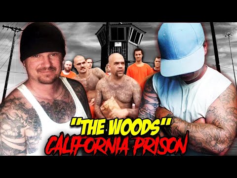 CALIFORNIA PRISON GANG THE WOODS
