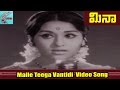 Malle Teega Vantidi Video Song Meena Movie Krishna Vijaya Nirmala MovieTimeCinema