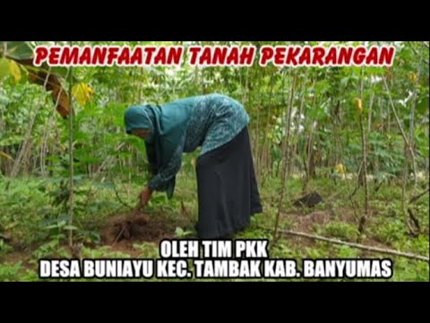 Pemanfaatan Tanah Pekarangan