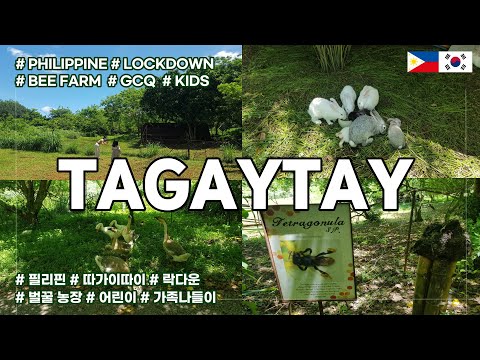 , title : '[SUB] 필리핀 가족나들이 [따가이따이] 벌꿀 농장 Phil - Tagaytay Ep1. ILOG MARIA BEE FARM 100%  Natural / Lockdown 2021'